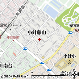 新潟県新潟市西区小針藤山6-33周辺の地図