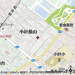 新潟県新潟市西区小針藤山5-20周辺の地図