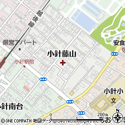 新潟県新潟市西区小針藤山6-31周辺の地図