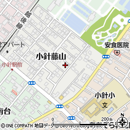 新潟県新潟市西区小針藤山5-19周辺の地図