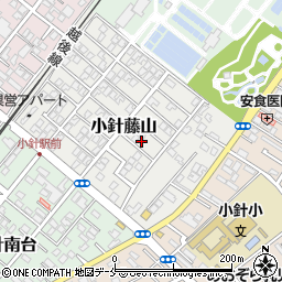 新潟県新潟市西区小針藤山5-7周辺の地図