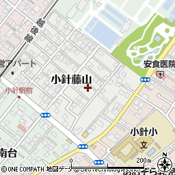 新潟県新潟市西区小針藤山5-18周辺の地図