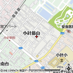新潟県新潟市西区小針藤山5周辺の地図