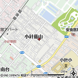 新潟県新潟市西区小針藤山5-17周辺の地図