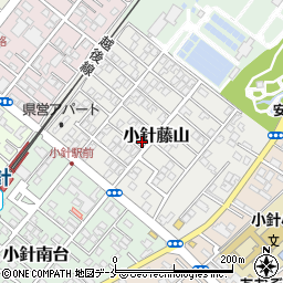 新潟県新潟市西区小針藤山9-3周辺の地図