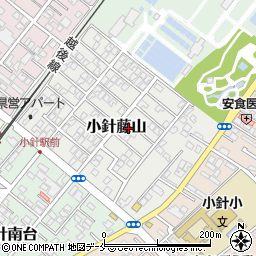 新潟県新潟市西区小針藤山5-15周辺の地図