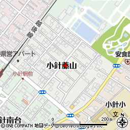 新潟県新潟市西区小針藤山5-12周辺の地図