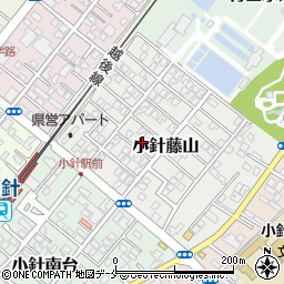 新潟県新潟市西区小針藤山9-7周辺の地図