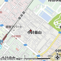 新潟県新潟市西区小針藤山9-18周辺の地図