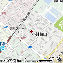 新潟県新潟市西区小針藤山9-9周辺の地図