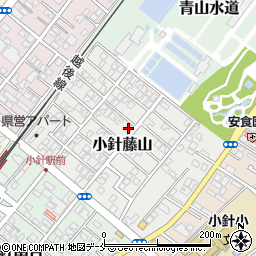 新潟県新潟市西区小針藤山10-1周辺の地図