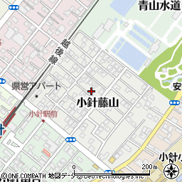 新潟県新潟市西区小針藤山10-6周辺の地図