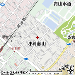 新潟県新潟市西区小針藤山10-20周辺の地図