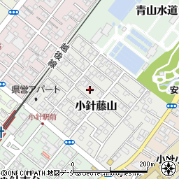 新潟県新潟市西区小針藤山10周辺の地図