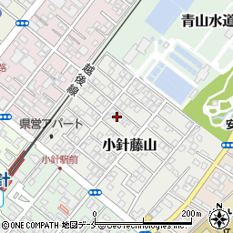 新潟県新潟市西区小針藤山10-16周辺の地図