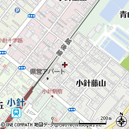 新潟県新潟市西区小針藤山16-7周辺の地図