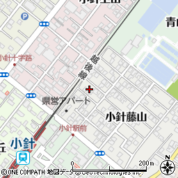 新潟県新潟市西区小針藤山16周辺の地図