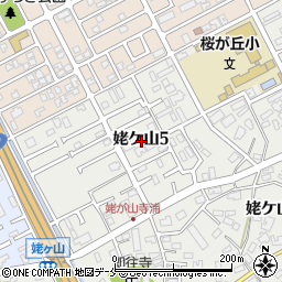 新潟県新潟市中央区姥ケ山5丁目13周辺の地図