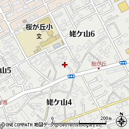 新潟県新潟市中央区姥ケ山6丁目3周辺の地図