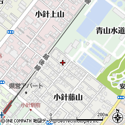 新潟県新潟市西区小針藤山13-5周辺の地図