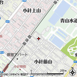 新潟県新潟市西区小針藤山13-7周辺の地図