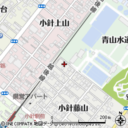 新潟県新潟市西区小針藤山13-16周辺の地図