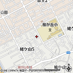 新潟県新潟市中央区姥ケ山5丁目16周辺の地図