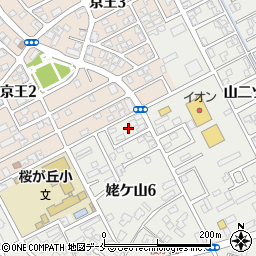 新潟県新潟市中央区姥ケ山6丁目9周辺の地図