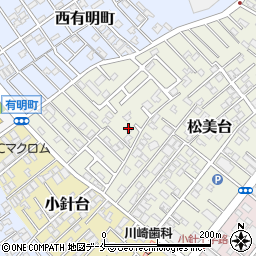 青山カイロプラクティック施術室周辺の地図