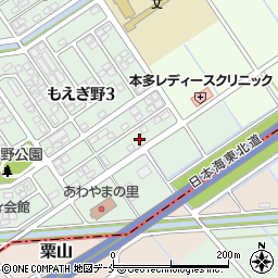 新潟県新潟市東区もえぎ野3丁目6周辺の地図