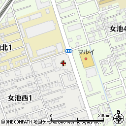セブンイレブン新潟女池西店周辺の地図
