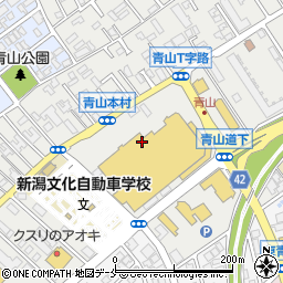 イオン薬局新潟青山店周辺の地図