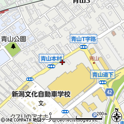 ニイガタエイド株式会社　青山店周辺の地図