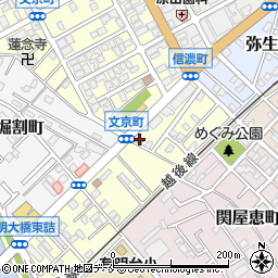 新潟中央警察署有明台交番周辺の地図