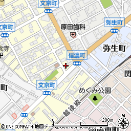 ドミノ・ピザ文京町店周辺の地図
