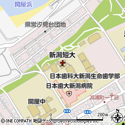 日本歯科大学新潟短期大学周辺の地図