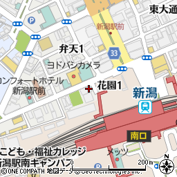 ザ・プエブロショップ新潟駅前店周辺の地図