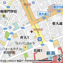 株式会社デンソーソリューション関東支社新潟支店　総務周辺の地図