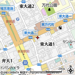 株式会社エヌサイト　新潟事業部周辺の地図