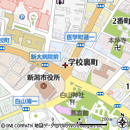 ココカラファイン新潟市役所前店周辺の地図