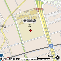 新潟県新潟市東区本所周辺の地図