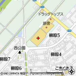 新潟県新潟市北区葛塚1260周辺の地図