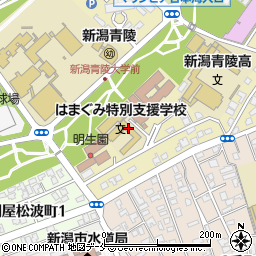 新潟県立はまぐみ特別支援学校周辺の地図