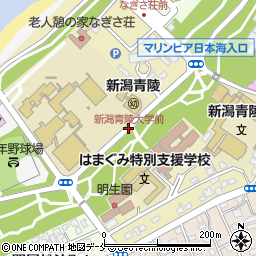 新潟青陵大学前周辺の地図