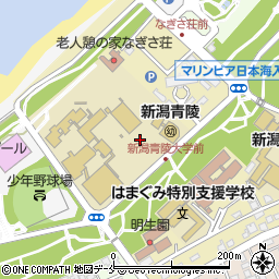 新潟青陵大学短期大学部周辺の地図