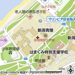 新潟青陵学園新潟青陵幼稚園周辺の地図