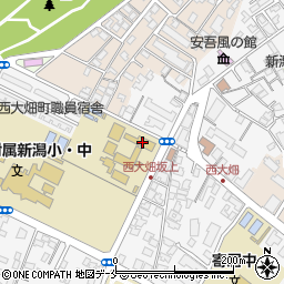 新潟大学教育学部附属特別支援学校周辺の地図