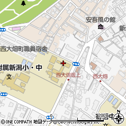 新潟大学教育学部附属特別支援学校周辺の地図