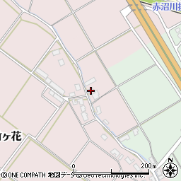 新潟県新発田市竹ヶ花1039周辺の地図