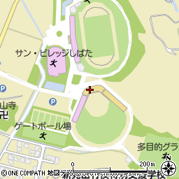 新発田市　五十公野公園野球場周辺の地図